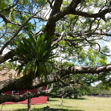 Aldeia Santuario Das Aves Tavares ห้อง รูปภาพ