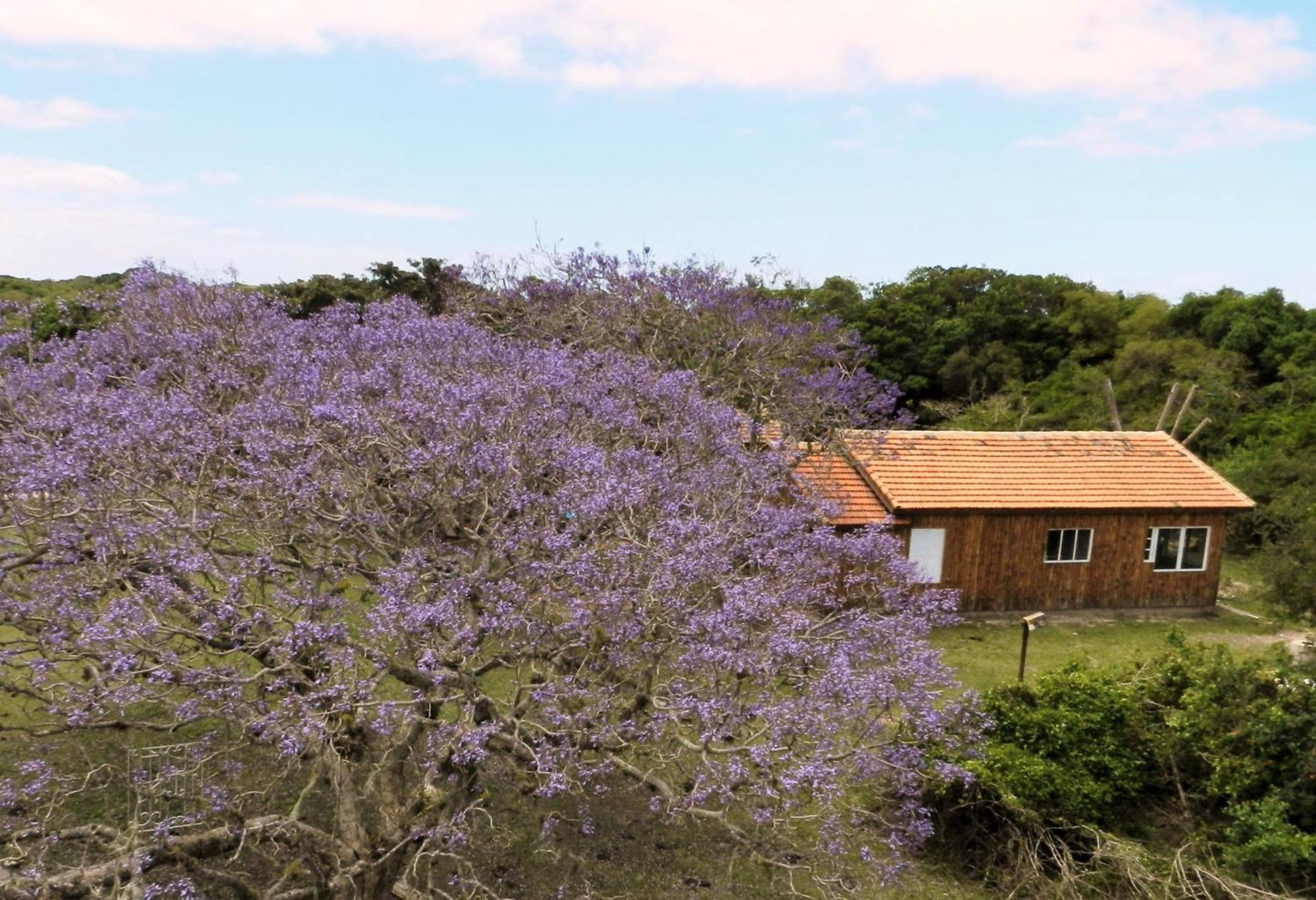 Aldeia Santuario Das Aves Tavares ห้อง รูปภาพ