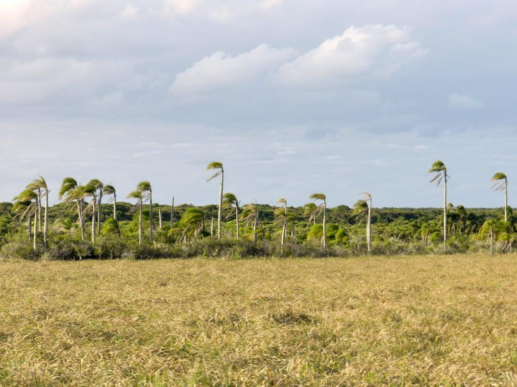 Aldeia Santuario Das Aves Tavares ภายนอก รูปภาพ