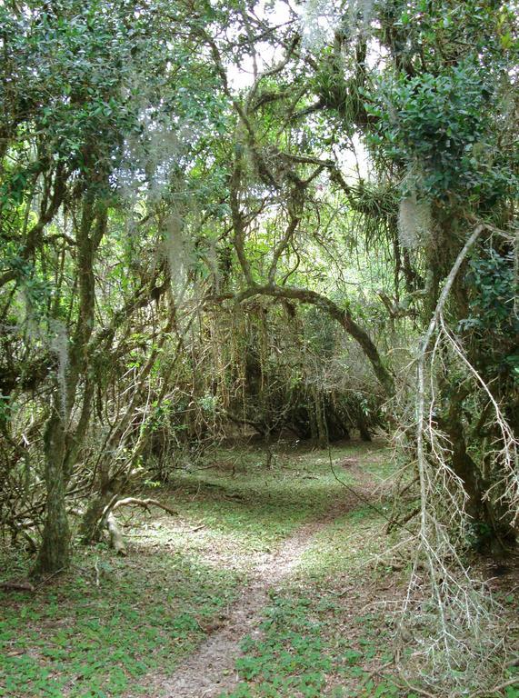 Aldeia Santuario Das Aves Tavares ภายนอก รูปภาพ