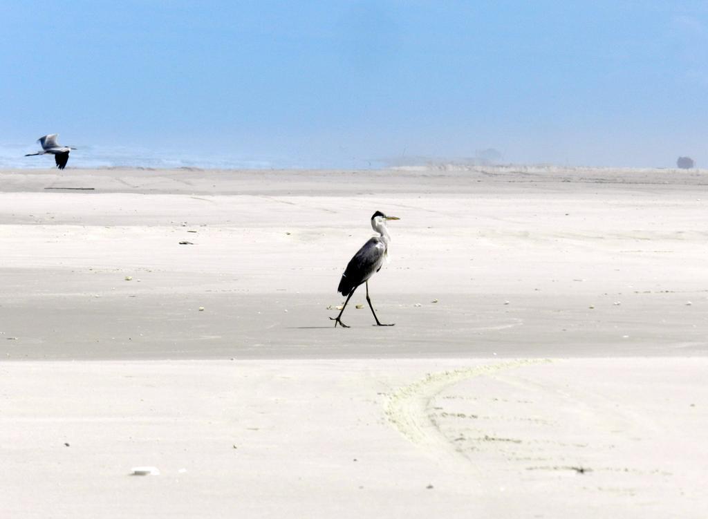 Aldeia Santuario Das Aves Tavares ภายนอก รูปภาพ