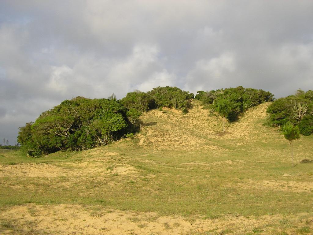 Aldeia Santuario Das Aves Tavares ภายนอก รูปภาพ